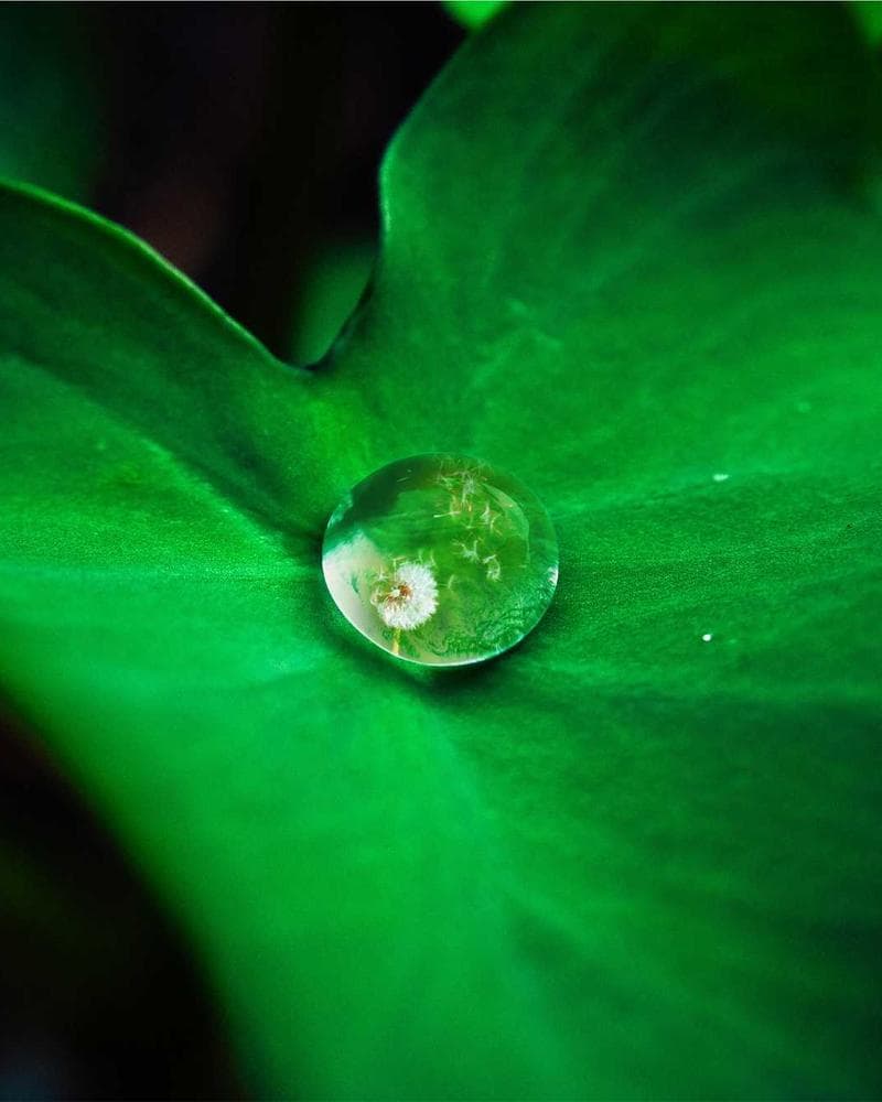 One Life Fitness Gym