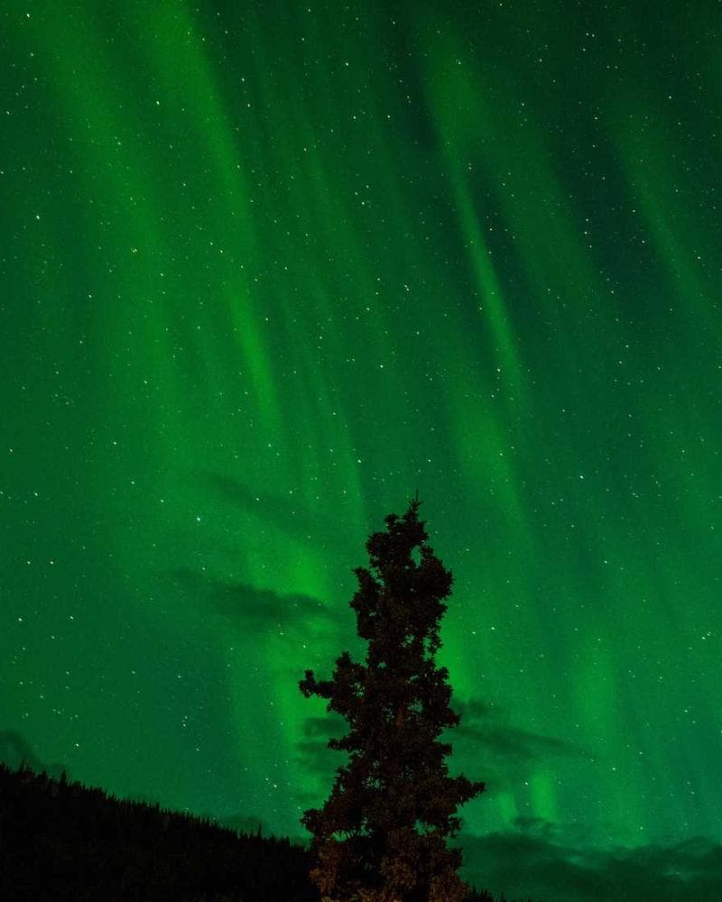 Personal Training Session